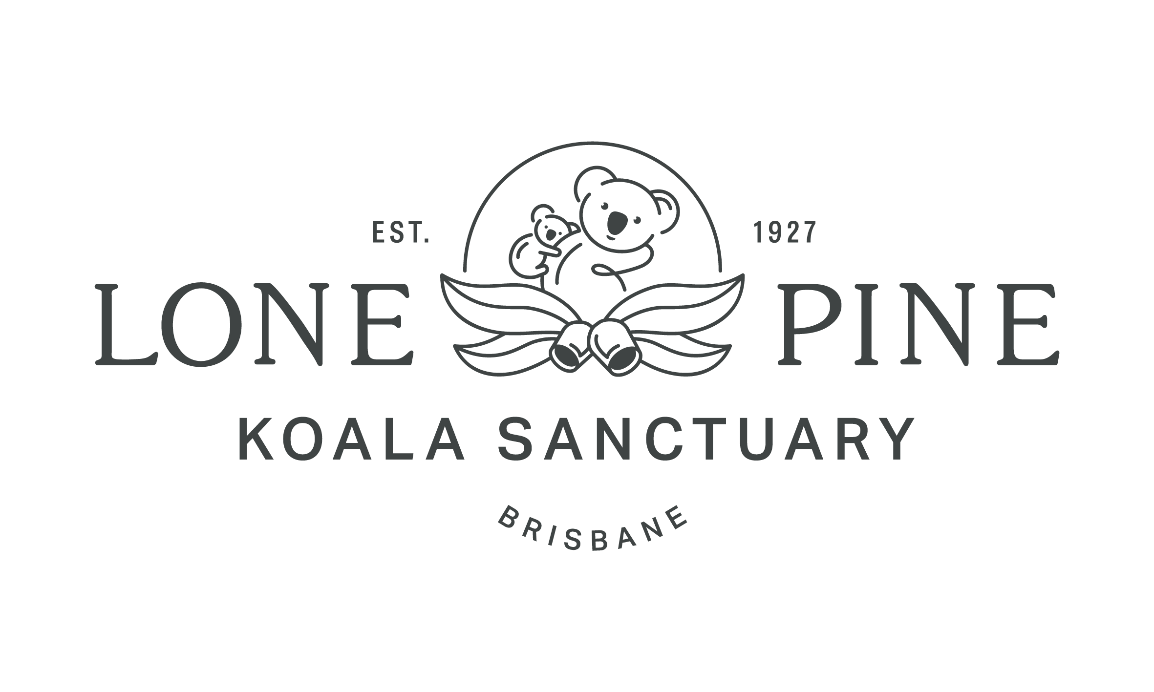 Lone Pine Koala Logo